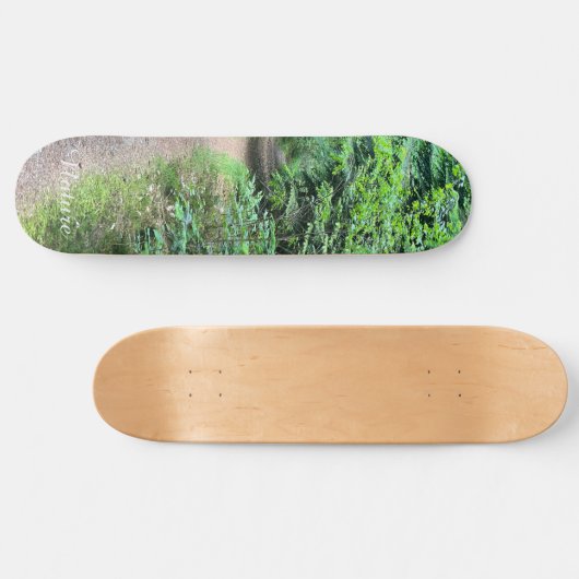 Skateboard Nature Forrest (Horz)