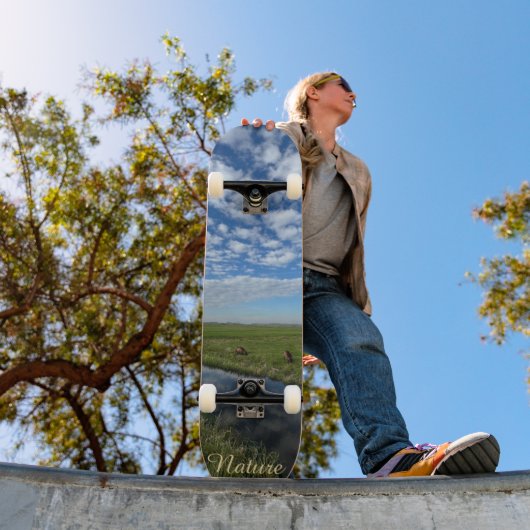 Skateboard Nature sky (Extérieur 1)