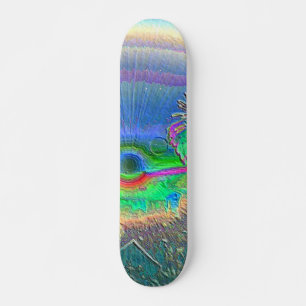 Skateboard Négatif du coucher de soleil de Silverlake