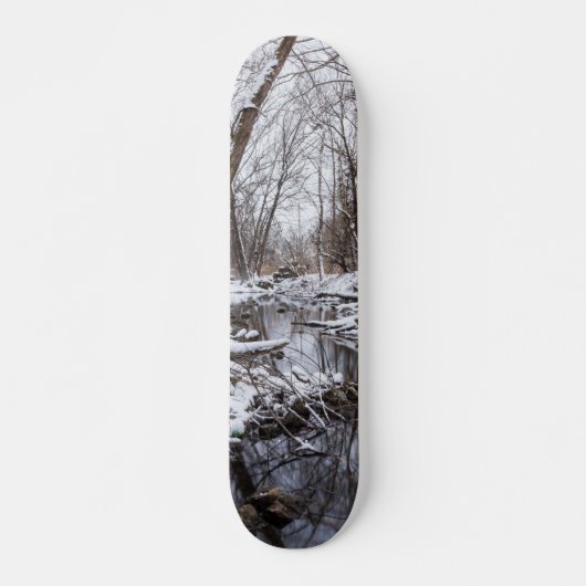 Skateboard Neige de rive (Devant)