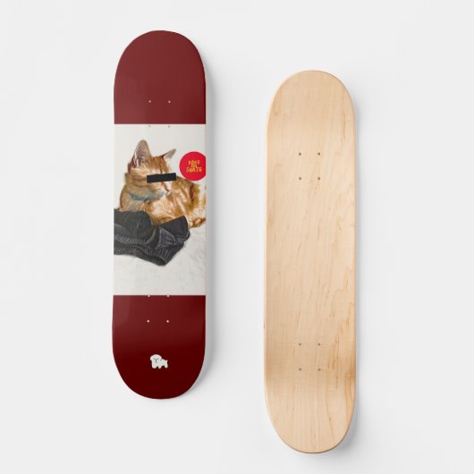 SKATEBOARD NEKO2 (Recto)