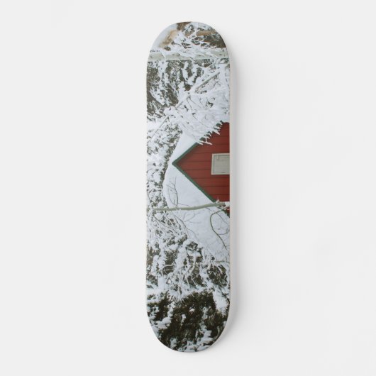 Skateboard noël d'hiver 99 (Recto)