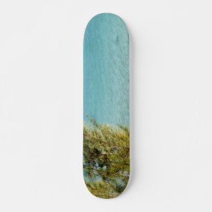 Skateboard Océan