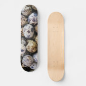 Skateboard Oeufs de caille (Recto)
