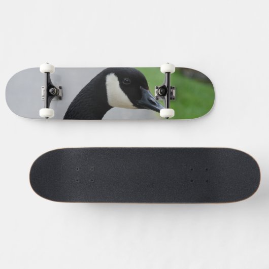 Skateboard Oie canadienne (Horz)