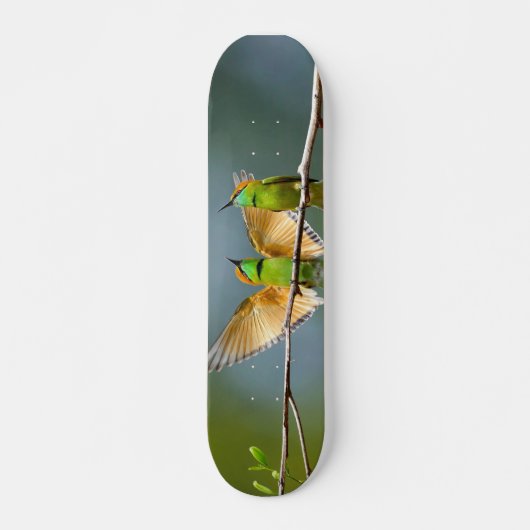 Skateboard Oiseaux verts s'éternisent dans les arbres Photogr (Devant)