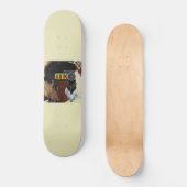Skateboard OK Tatanka (Recto)