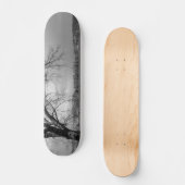 Skateboard Old Winter Tree Gris (Recto)