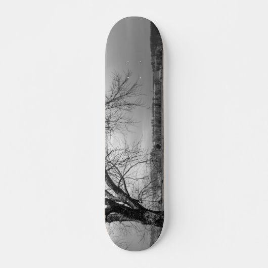 Skateboard Old Winter Tree Gris (Devant)