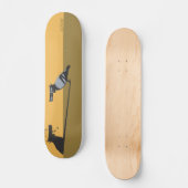 SKATEBOARD OMBRE DE BIRDGUN (Recto)