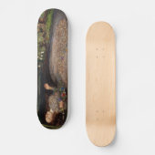 Skateboard Ophélie par John Everett Millais (Recto)