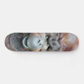 SKATEBOARD ORANGUTANS (Horz)
