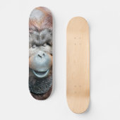 SKATEBOARD ORANGUTANS (Recto)