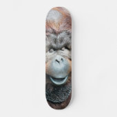 SKATEBOARD ORANGUTANS (Recto)