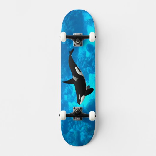 Skateboard Orca (Recto)