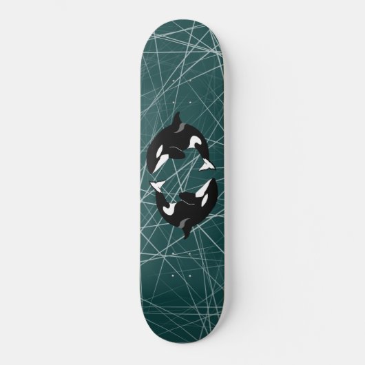Skateboard Orca Killer Whale (Recto)
