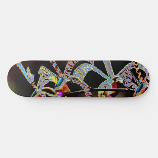 Skateboard Orchidées ii (Horz)