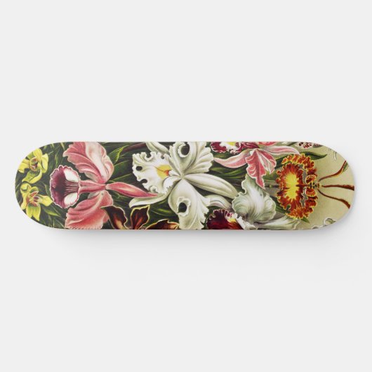 Skateboard Orchidées, Orchidée Denusblumen Ernst Haeckel (Horz)