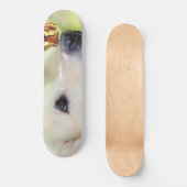 Skateboard Oreiller À Lancer Du Labrador Et Du Papillon (Recto)