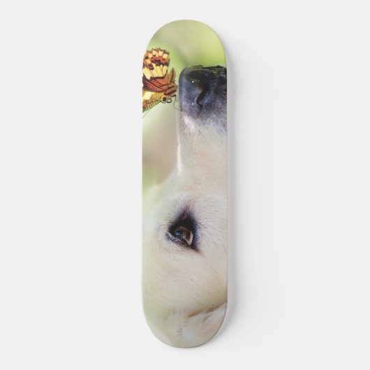 Skateboard Oreiller À Lancer Du Labrador Et Du Papillon (Recto)