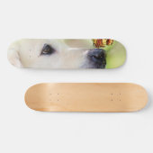 Skateboard Oreiller À Lancer Du Labrador Et Du Papillon (Horz)