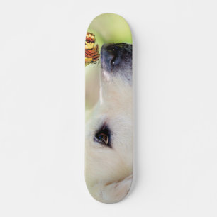 Skateboard Oreiller À Lancer Du Labrador Et Du Papillon