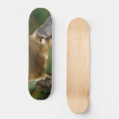 Skateboard Ornithorynque (Recto)