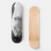 Skateboard Ours blanc paisible (Recto)