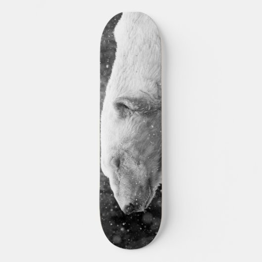 Skateboard Ours blanc paisible (Recto)