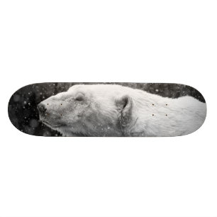 Skateboard Ours blanc paisible