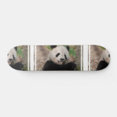 Skateboard Ours panda de sourire (Horz)