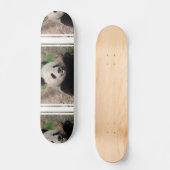 Skateboard Ours panda de sourire (Recto)
