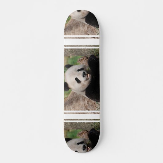 Skateboard Ours panda de sourire (Devant)