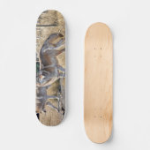 Skateboard Pack de loups dans la peinture forestière (Recto)