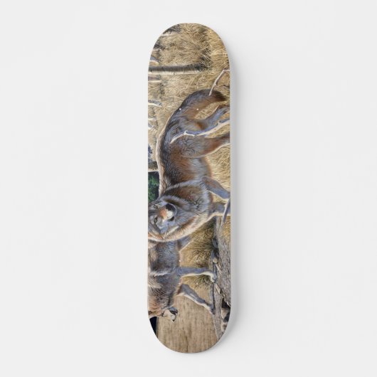 Skateboard Pack de loups dans la peinture forestière (Devant)