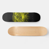 Skateboard Paire de dauphins dans le soleil (Horz)