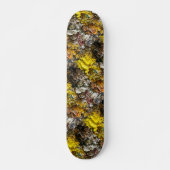 Skateboard Palette de l'artiste #1 (Devant)