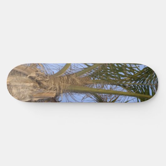 Skateboard Palm Tree - Choix de votre taille (Horz)