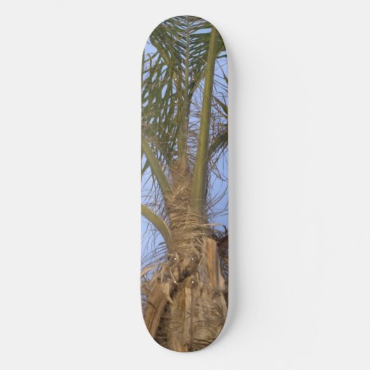 Skateboard Palm Tree - Choix de votre taille (Recto)