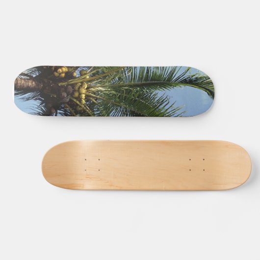 Skateboard Palmier à coco (Horz)
