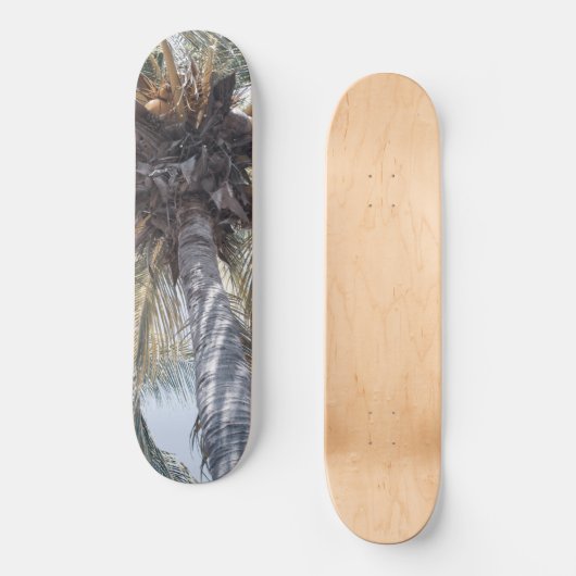 Skateboard Palmier Chill Coconut Summer 1 (Recto)