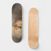 Skateboard Palomino dans les Brumes (Recto)