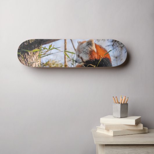 Skateboard Panda rouge (Art mural (Horz))