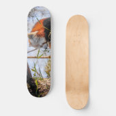 Skateboard Panda rouge (Recto)