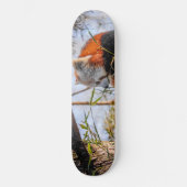 Skateboard Panda rouge (Recto)