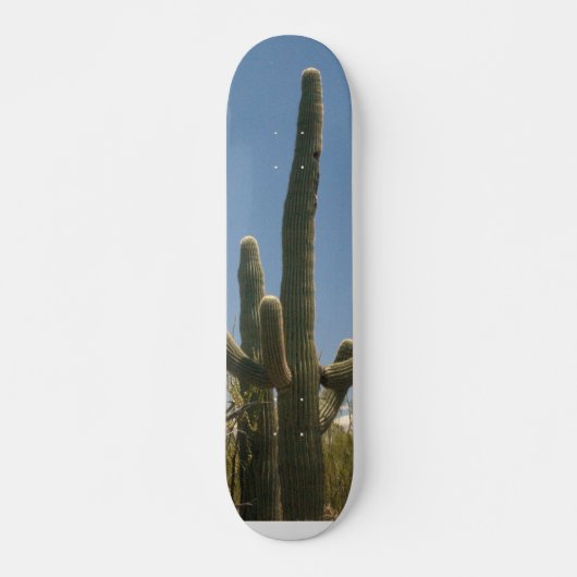 Skateboard Panneau de patin de cactus de Saguara (Devant)