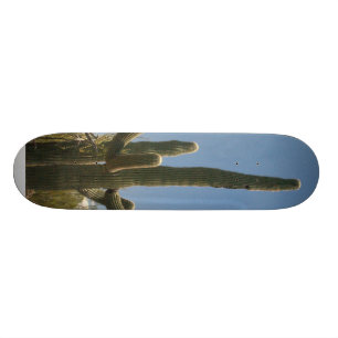 Skateboard Panneau de patin de cactus de Saguara