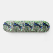 SKATEBOARD PAON (Horz)