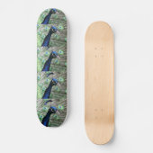 SKATEBOARD PAON (Recto)