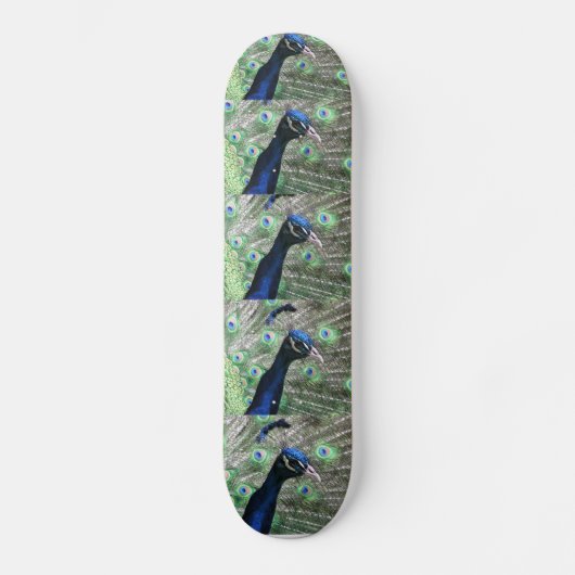 SKATEBOARD PAON (Recto)